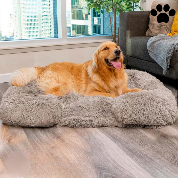BowLift | Orthopedic Memory Foam Dog Bed with Waterproof Lining – Large Comfortable Dog Bed for Better Sleep and Support