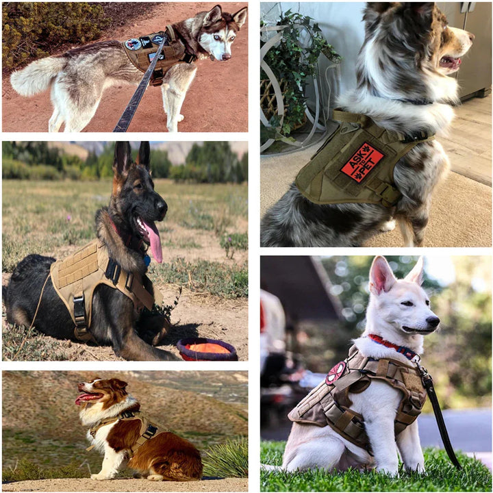 BowLift | Guardpaw Tactical Dog Harness with Handle - Durable, Adjustable, Leash Set