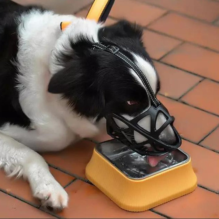 SafeBark Dog Muzzle – Effective Anti-Bite and Anti-Bark Solution, Breathable and Comfortable | Bowlift