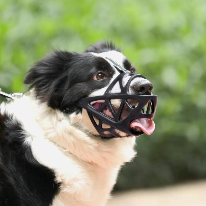 SafeBark Dog Muzzle – Effective Anti-Bite and Anti-Bark Solution, Breathable and Comfortable | Bowlift