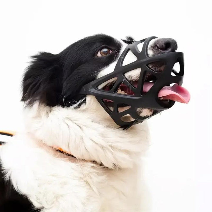 SafeBark Dog Muzzle – Effective Anti-Bite and Anti-Bark Solution, Breathable and Comfortable | Bowlift
