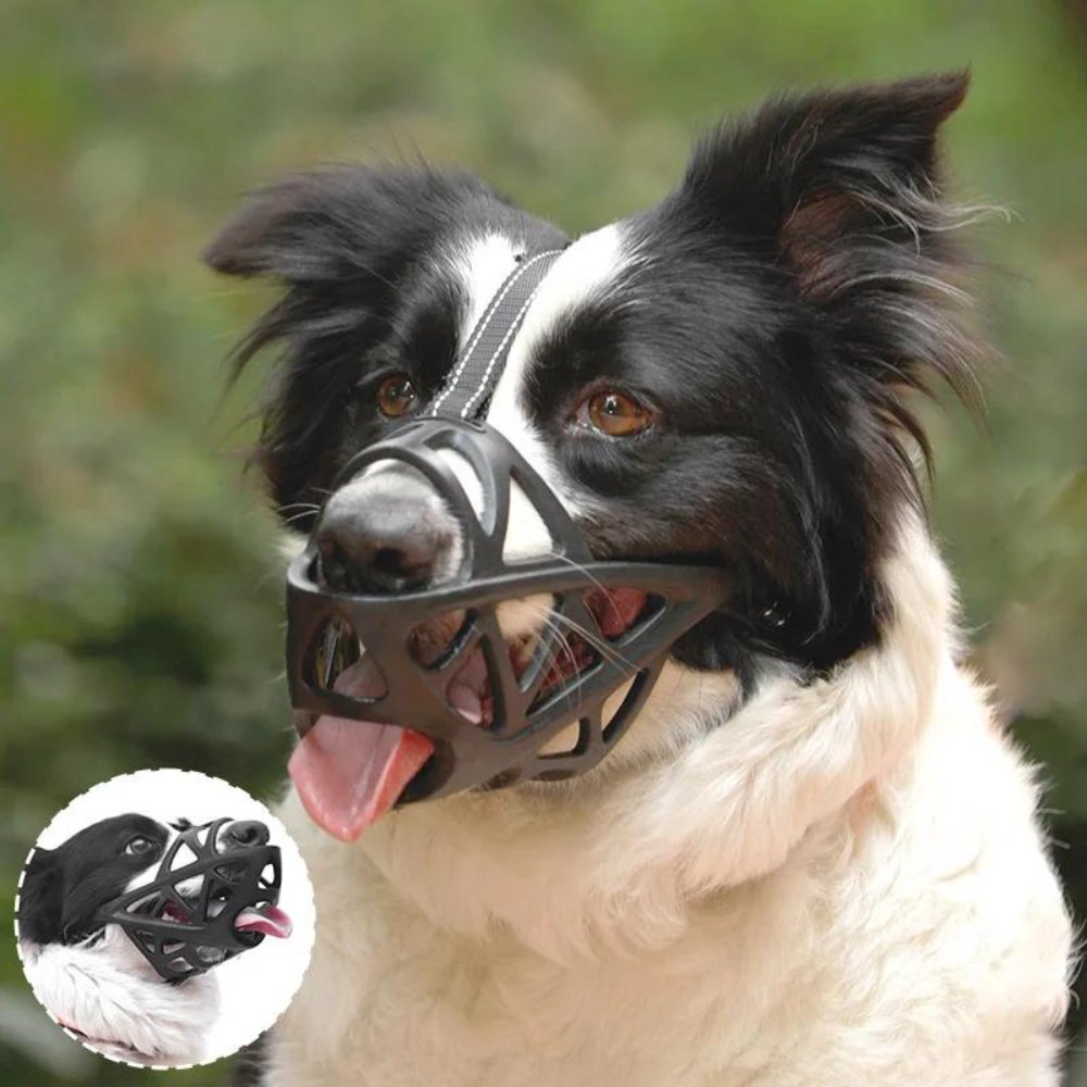 SafeBark Dog Muzzle – Effective Anti-Bite and Anti-Bark Solution, Breathable and Comfortable | Bowlift