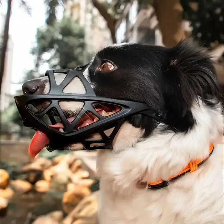 SafeBark Dog Muzzle – Effective Anti-Bite and Anti-Bark Solution, Breathable and Comfortable | Bowlift