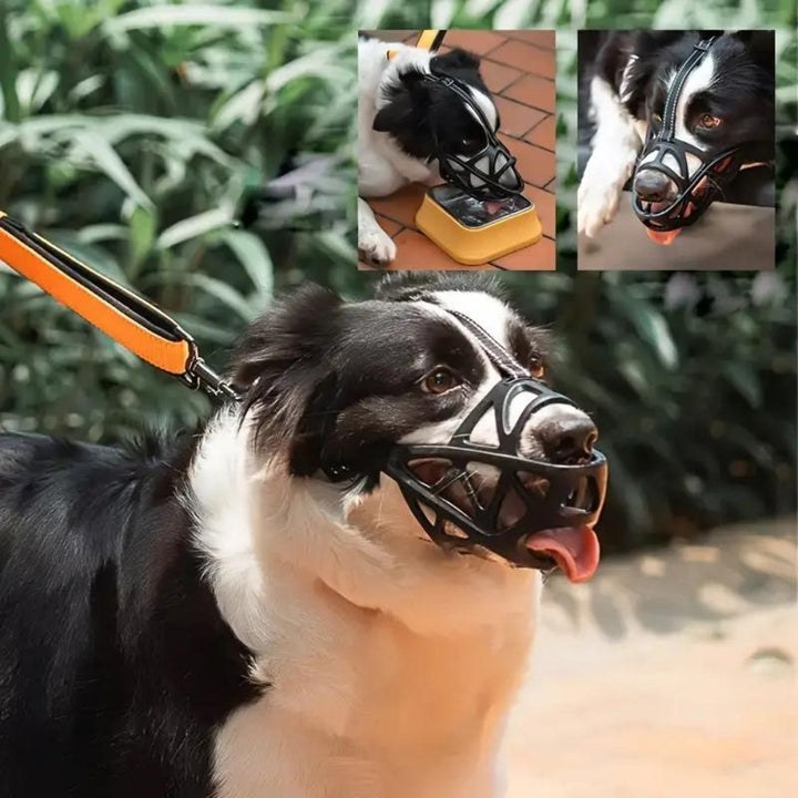 SafeBark Dog Muzzle – Effective Anti-Bite and Anti-Bark Solution, Breathable and Comfortable | Bowlift