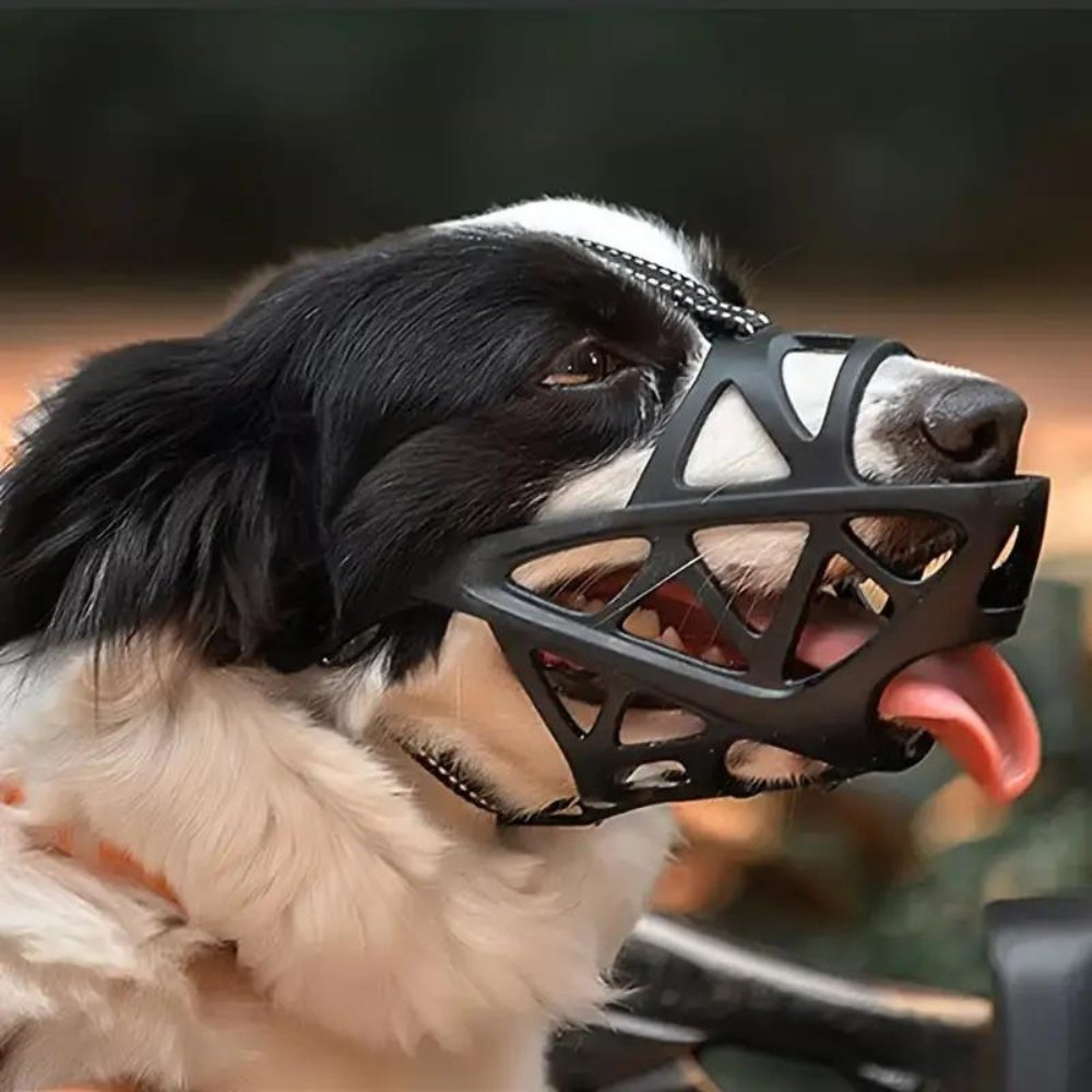 SafeBark Dog Muzzle – Effective Anti-Bite and Anti-Bark Solution, Breathable and Comfortable | Bowlift