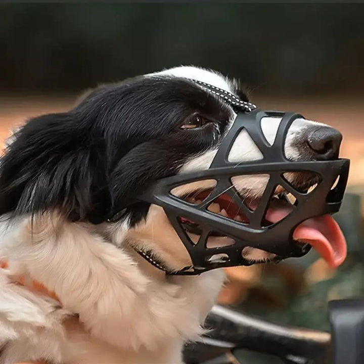 SafeBark Dog Muzzle – Effective Anti-Bite and Anti-Bark Solution, Breathable and Comfortable | Bowlift
