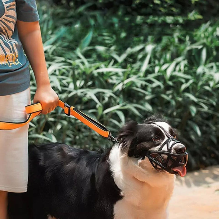 SafeBark Dog Muzzle – Effective Anti-Bite and Anti-Bark Solution, Breathable and Comfortable | Bowlift