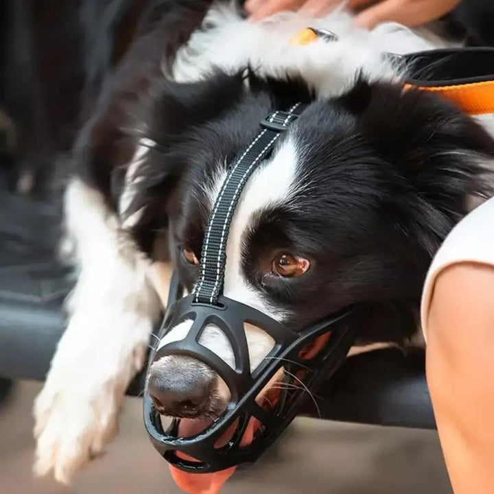 SafeBark Dog Muzzle – Effective Anti-Bite and Anti-Bark Solution, Breathable and Comfortable | Bowlift