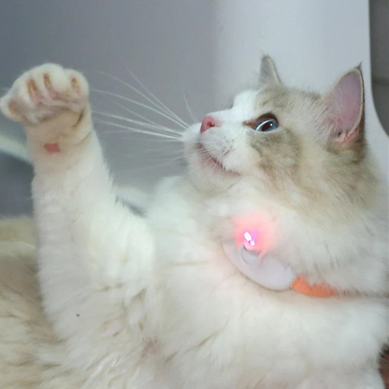 Freesthetic Laser Collar for Cats Bowlift