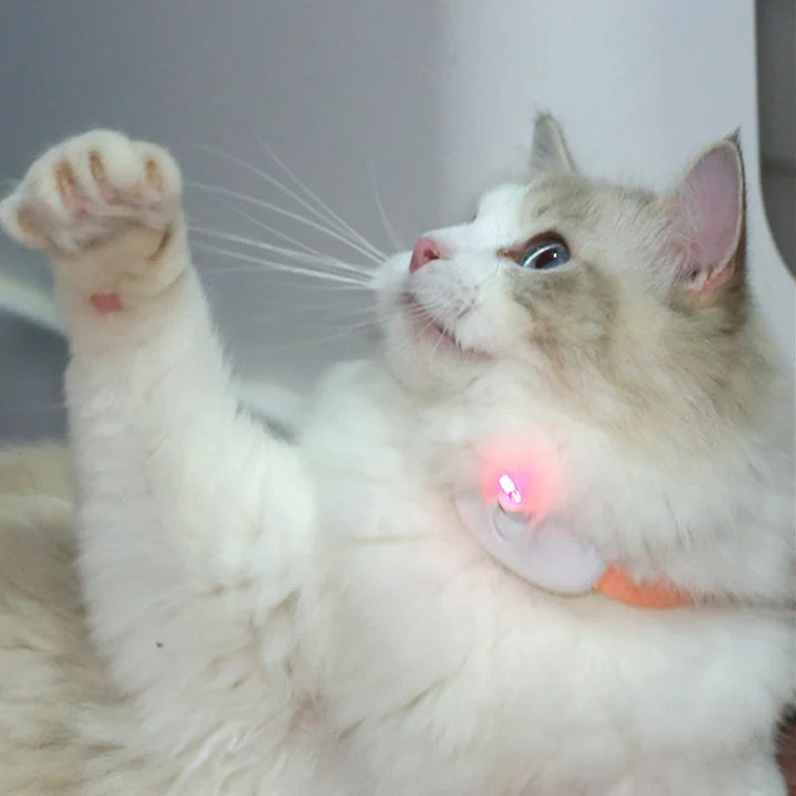 Freesthetic Laser Collar for Cats Bowlift