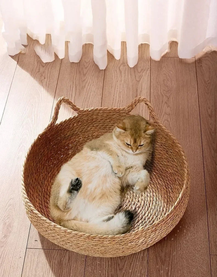 Rattan cat bed handwoven & washable Bowlift