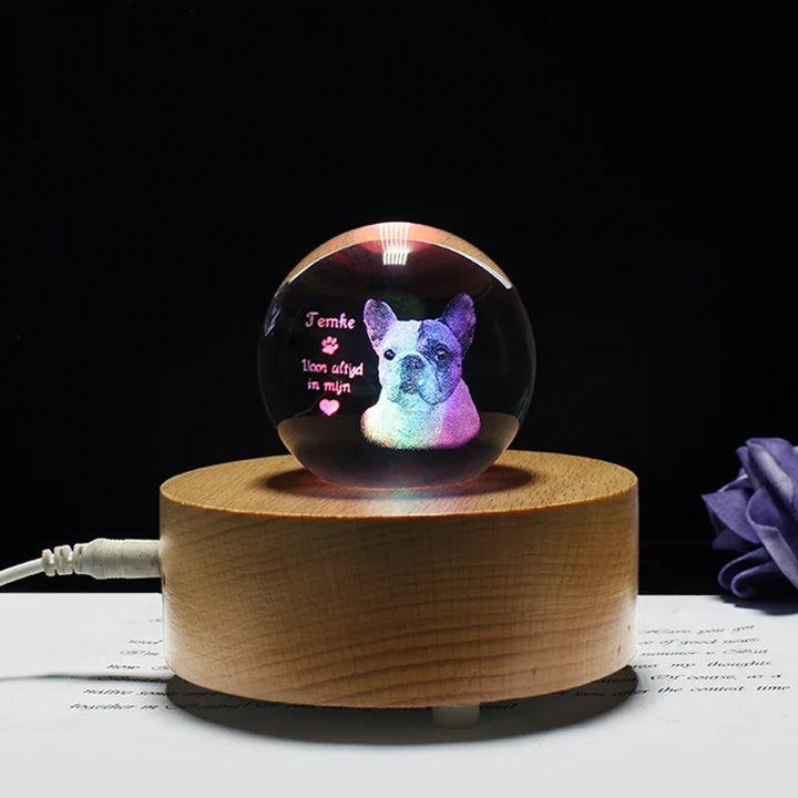 Personalized crystal ball with pet photo & LED base Bowlift