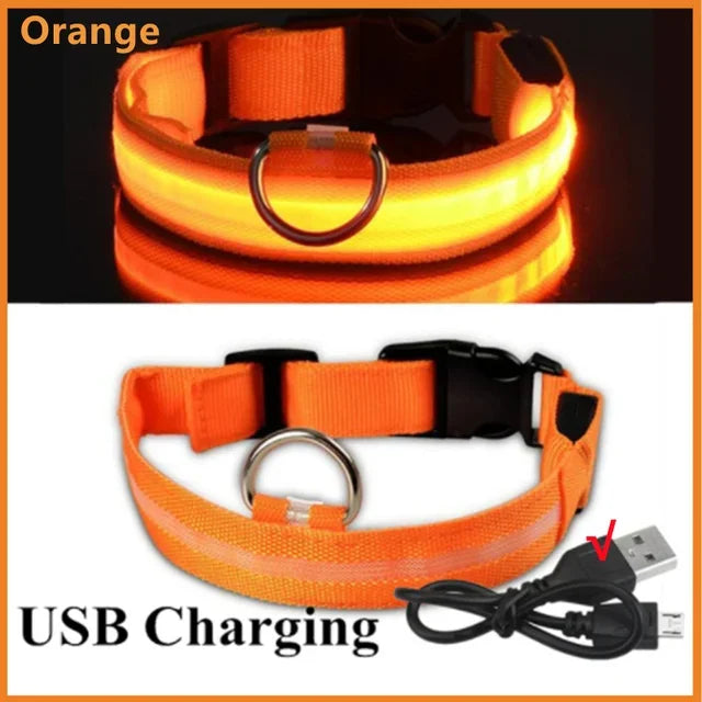 BowLift | LUXPETS GlowSafe LED Dog Collar | Illuminated & Rechargeable | Adjustable & Waterproof | Anti-Loss at Night