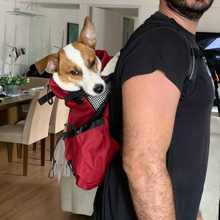 Dog backpack for outdoor & travel breathable Bowlift