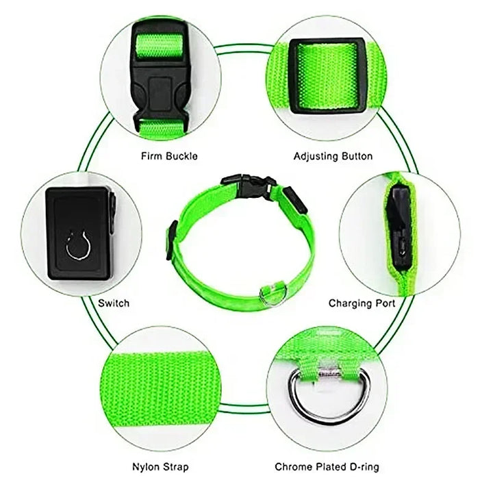 BowLift | LUXPETS GlowSafe LED Dog Collar | Illuminated & Rechargeable | Adjustable & Waterproof | Anti-Loss at Night