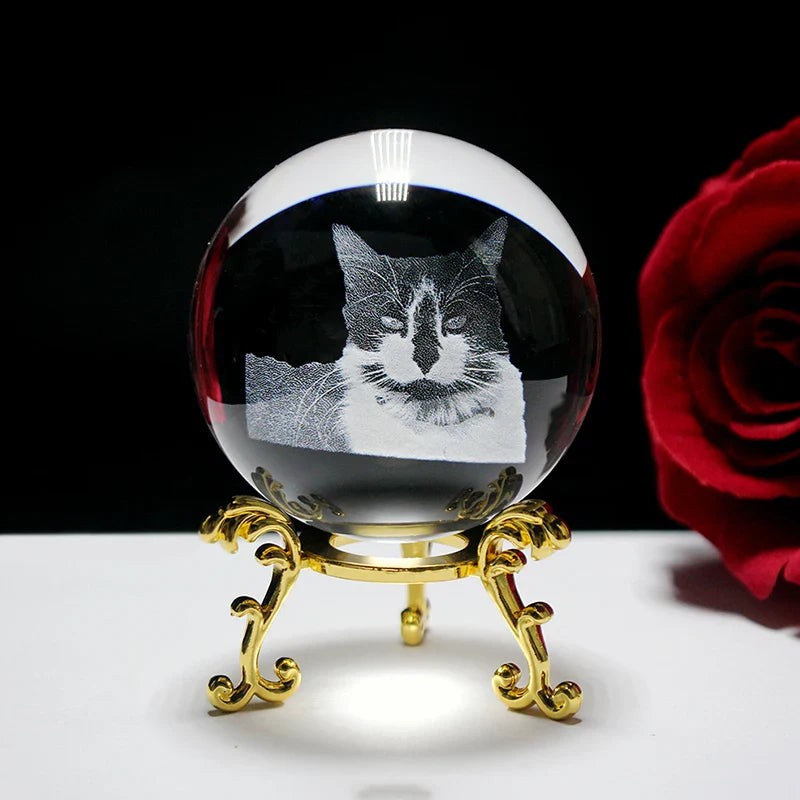 Personalized crystal ball with pet photo & LED base Bowlift