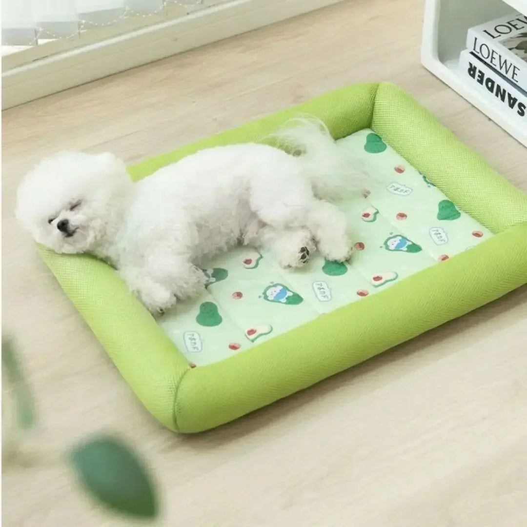 BowLift | Kühlmatte Pawlino ChillPad | Summer Mat for Dogs & Cats | Breathable & Fluffy | For Small to Large Pets