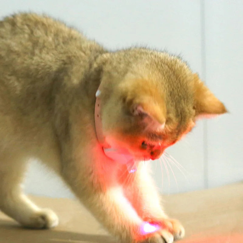 Freesthetic Laser Collar for Cats Bowlift