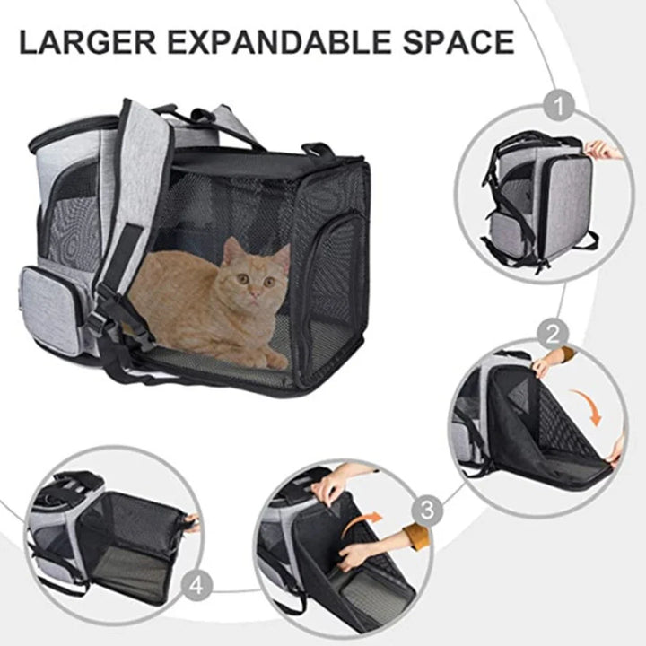 BowLift | Pet Travel Breathable Expandable Backpack