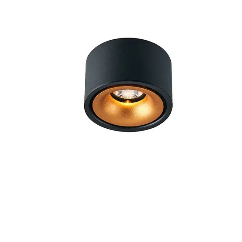 BowLift | Glare-free LED Ceiling Spot
