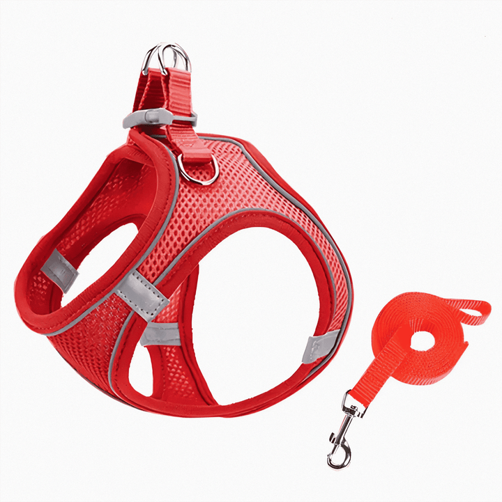 BowLift | Adjustable Cat T-shirt – Breathable Mesh Safety Design for Outdoor Adventures, Escape-proof and Fully Adjustable Fit