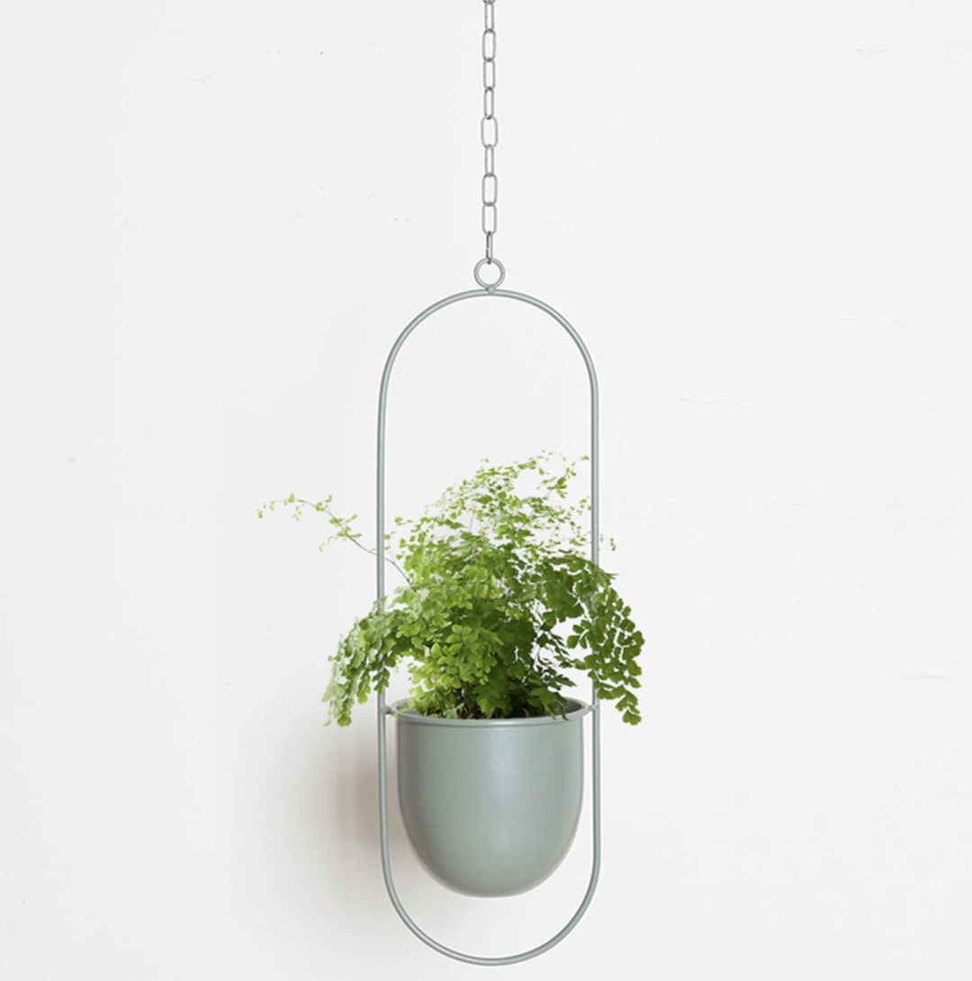 BowLift | Wall Hanging Metal Plant Holder – FloraFrame