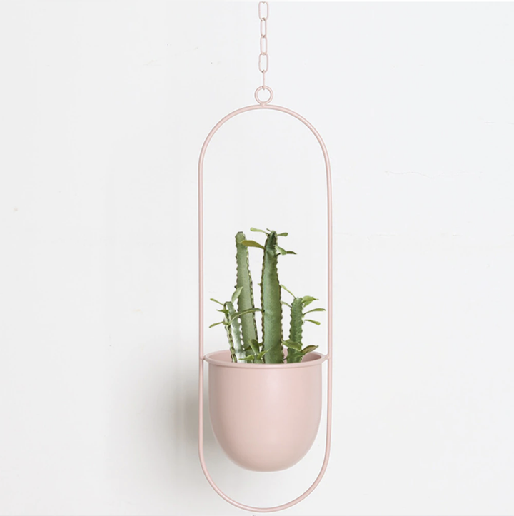 BowLift | Wall Hanging Metal Plant Holder – FloraFrame