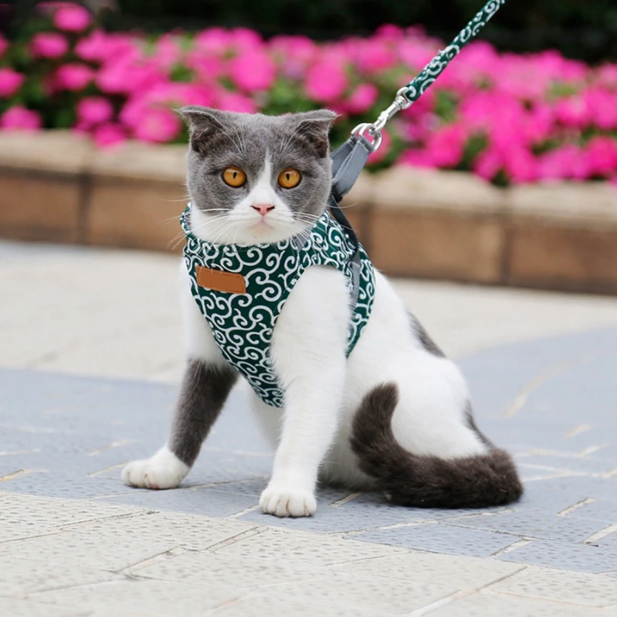 BowLift | Stylish Cat Harness with Matching Leash - Comfortable and Easy to Wear, Adjustable Fit for Cats and Kittens