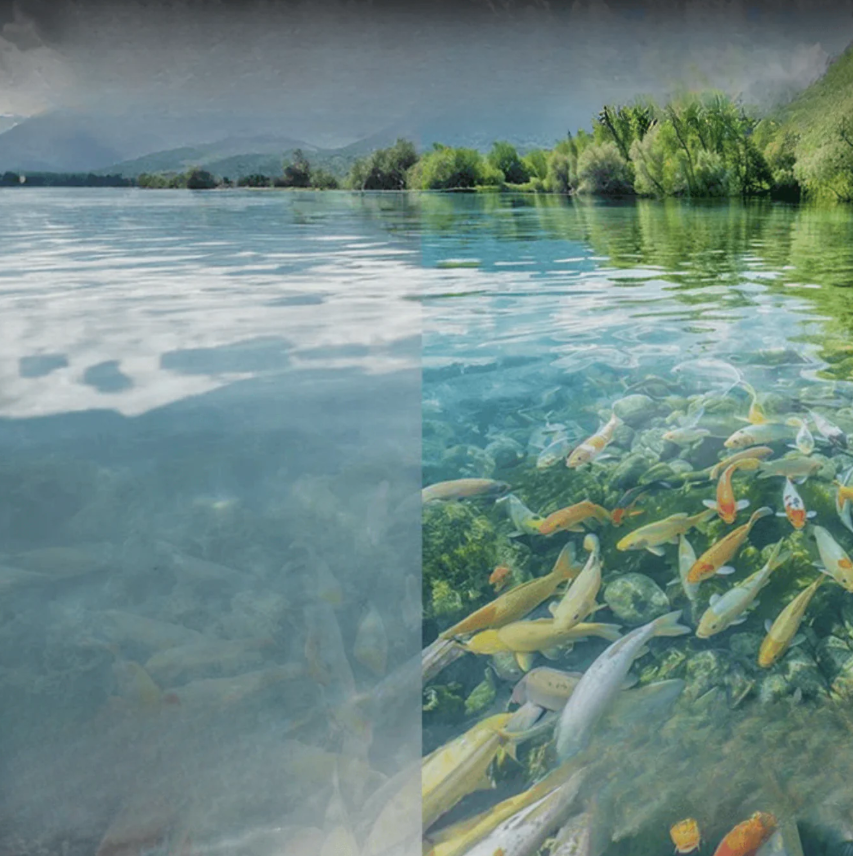 Polarized sunglasses for anglers | Secure fit & Long-lasting comfort | Bowlift