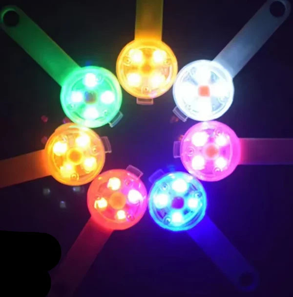 Rechargeable LED safety tag for pets Bowlift