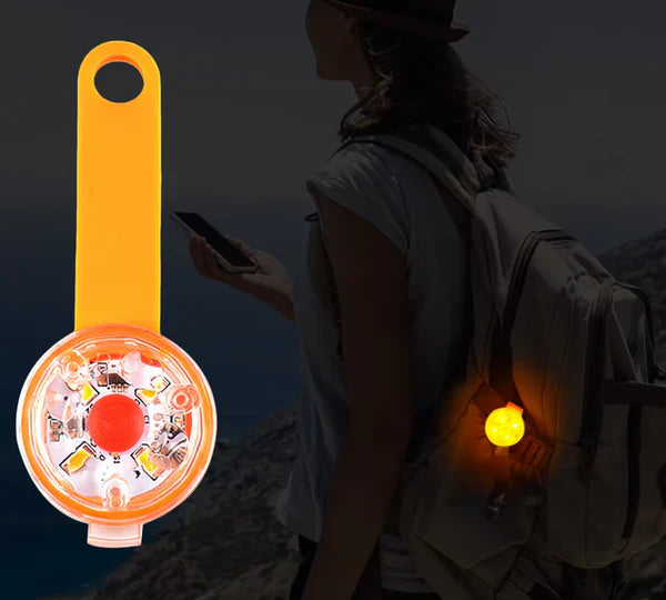 Rechargeable LED safety tag for pets Bowlift