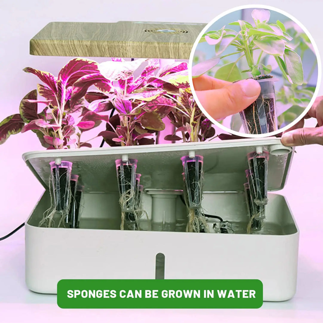 BowLift | WurzelWunder Planting Sponges 50 Pieces | Replacement Growth Sponges for Hydroponics & Soil | For Herbs, Vegetables & Flowers