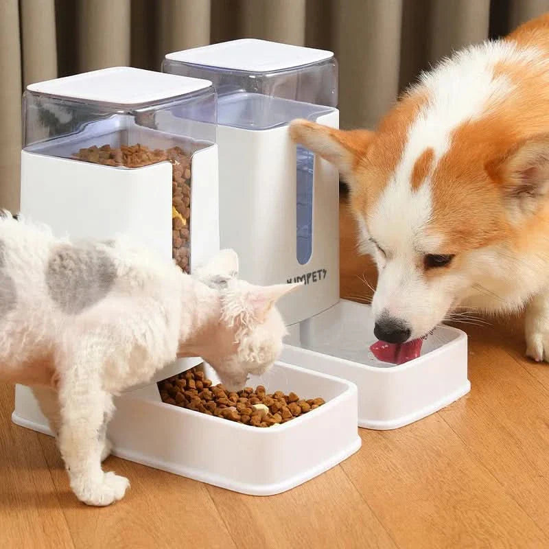 BowLift | MUNCHZA - Automatic Pet Feeder
