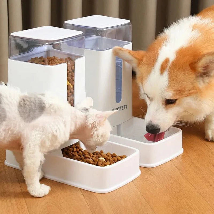 BowLift | MUNCHZA - Automatic Pet Feeder