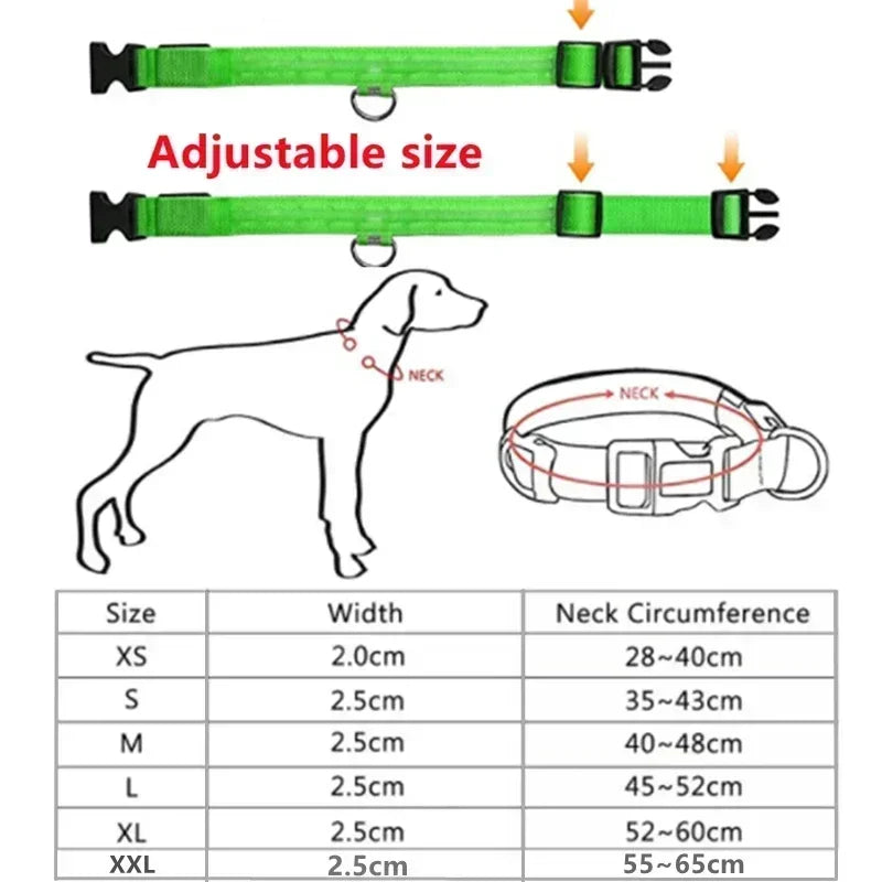 BowLift | LUXPETS GlowSafe LED Dog Collar | Illuminated & Rechargeable | Adjustable & Waterproof | Anti-Loss at Night