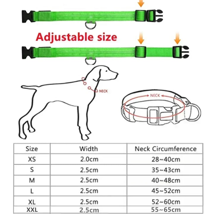 BowLift | LUXPETS GlowSafe LED Dog Collar | Illuminated & Rechargeable | Adjustable & Waterproof | Anti-Loss at Night