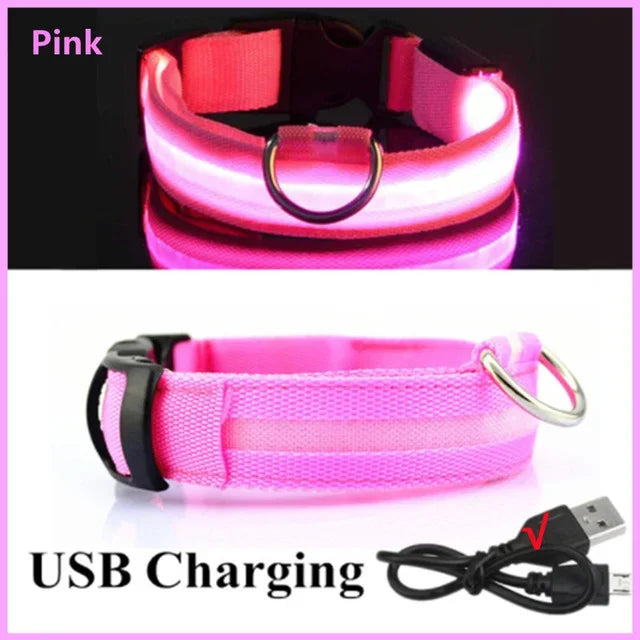 BowLift | LUXPETS GlowSafe LED Dog Collar | Illuminated & Rechargeable | Adjustable & Waterproof | Anti-Loss at Night