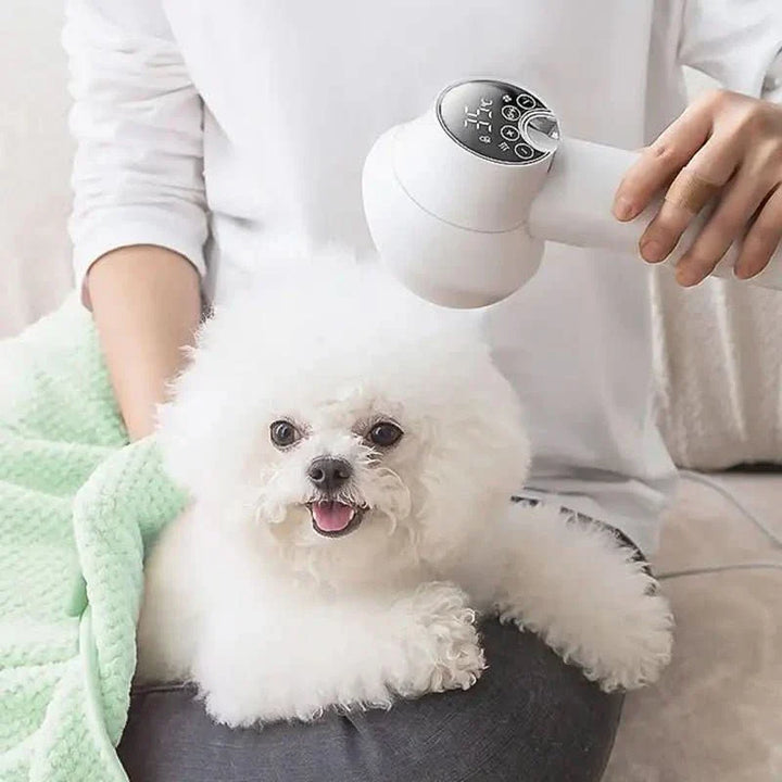BowLift | Leiser 2-in-1 Hair Dryer & Brush for Pets