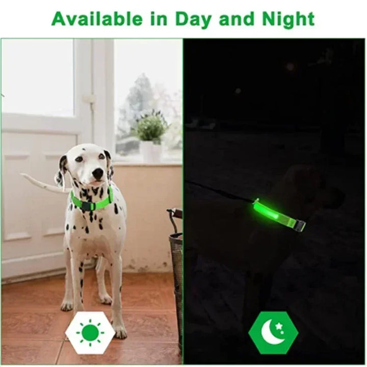BowLift | LUXPETS GlowSafe LED Dog Collar | Illuminated & Rechargeable | Adjustable & Waterproof | Anti-Loss at Night