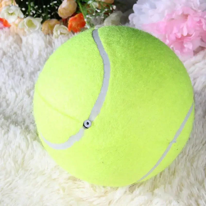 Extra large tennis ball for dogs Bowlift