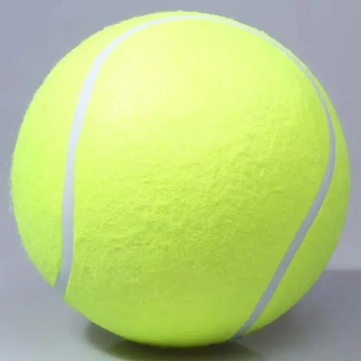 Extra large tennis ball for dogs Bowlift