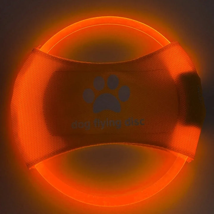 LED Frisbee for dogs rechargeable and waterproof Bowlift