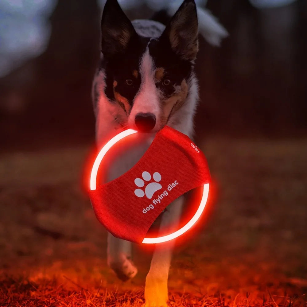 LED Frisbee for dogs rechargeable and waterproof Bowlift