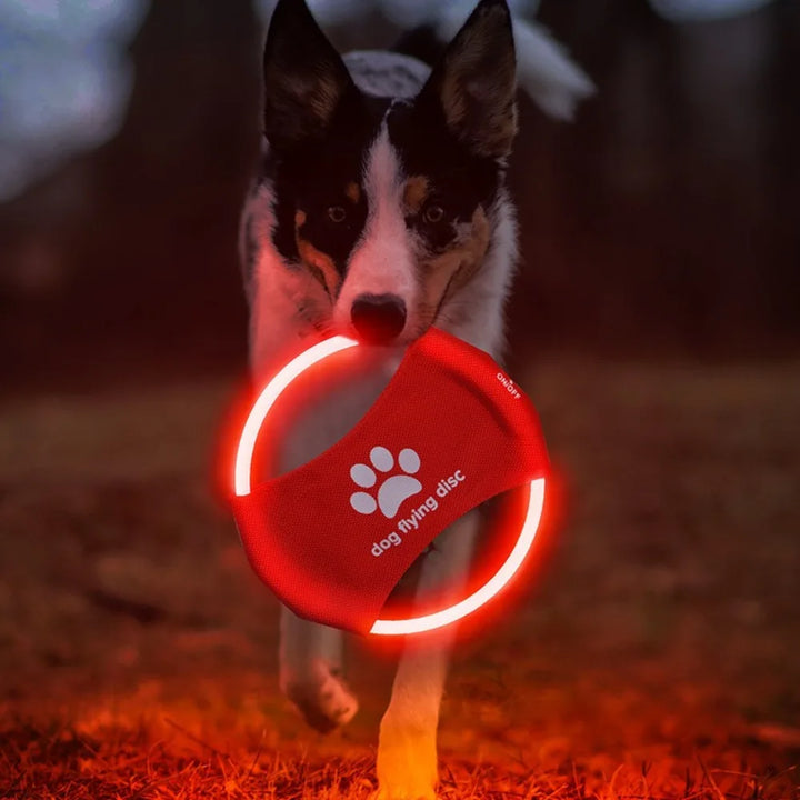 LED Frisbee for dogs rechargeable and waterproof Bowlift