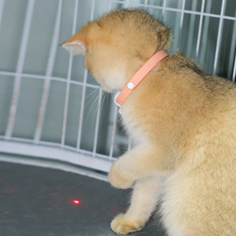 Freesthetic Laser Collar for Cats Bowlift