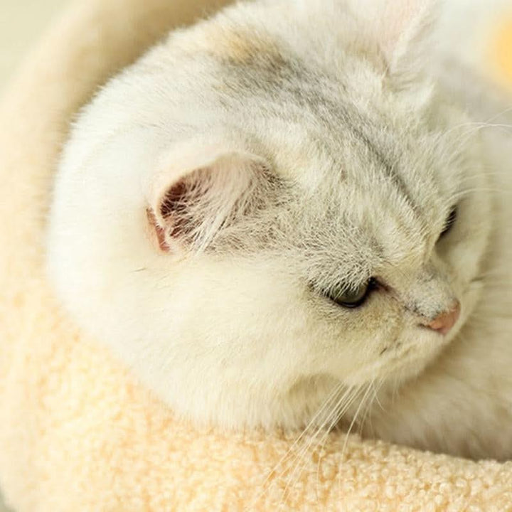 BowLift | Stylish Cat Bed with Scratching Area & Cuddly Pillow