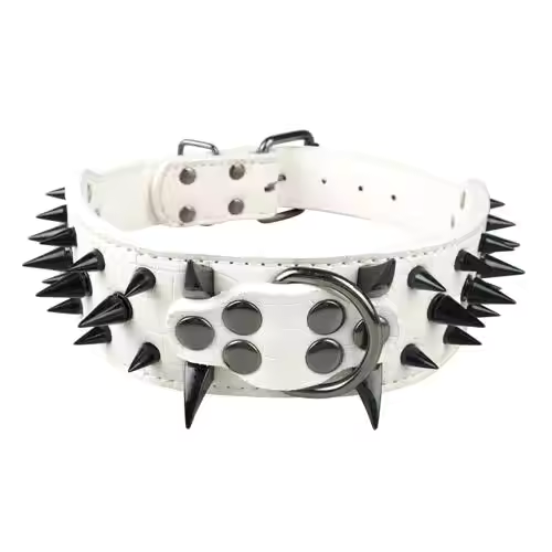 Dog collar with studs for large dogs Bowlift