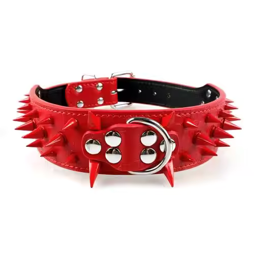 Dog collar with studs for large dogs Bowlift