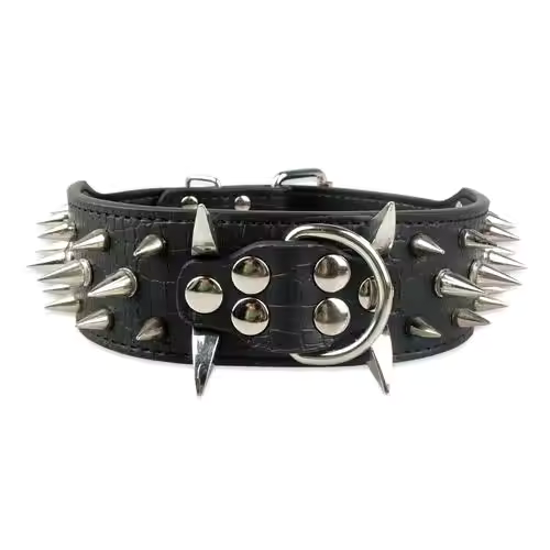 Dog collar with studs for large dogs Bowlift