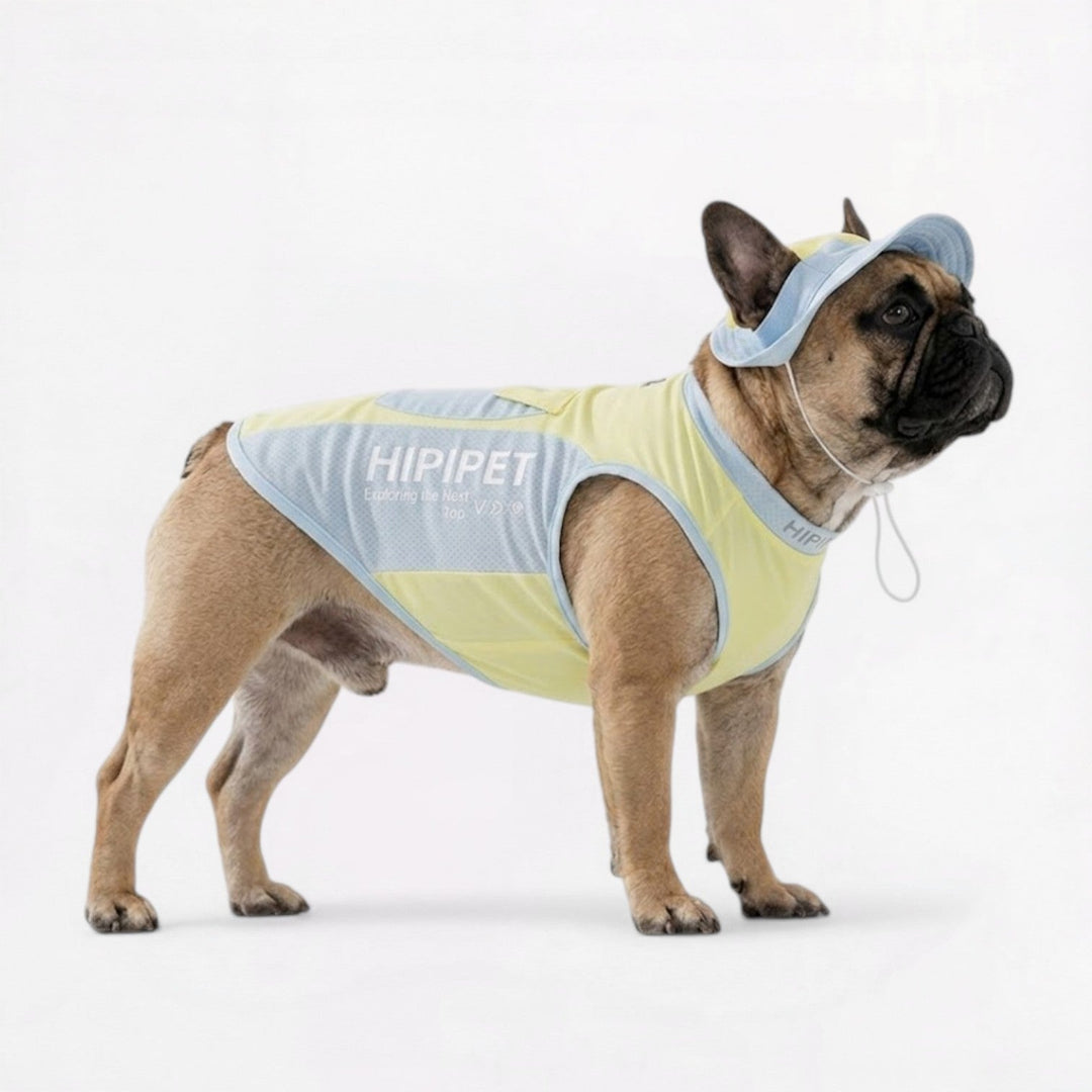 Summer Cooling Mesh Vest for French Bulldogs - Lightweight Pet Apparel | Bowlift